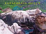 135-3594_IMG.JPG