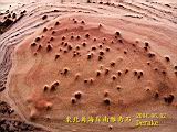 136-3617_IMG.JPG