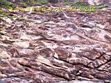 136-3625_IMG.JPG