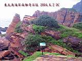 136-3626_IMG.JPG