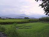 142-4212_IMG.JPG