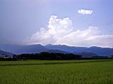 142-4269_IMG.JPG