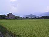 142-4272_IMG.JPG
