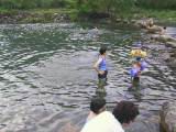 142-4280_IMG.JPG