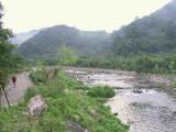 142-4282_IMG.JPG