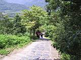 143-4302_IMG.JPG