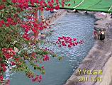 179-7932_IMG.JPG