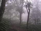 182-8245_IMG.JPG
