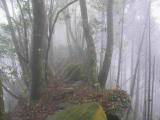 183-8361_IMG.JPG