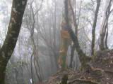 183-8367_IMG.JPG