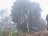 183-8369_IMG.JPG