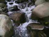 183-8385_IMG.JPG
