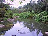 184-8426_IMG.JPG