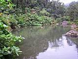 184-8427_IMG.JPG