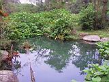 184-8428_IMG.JPG