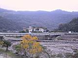 184-8440_IMG.JPG