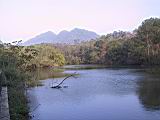 184-8471_IMG.JPG