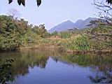 184-8473_IMG.JPG