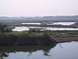 185-8502_IMG.JPG