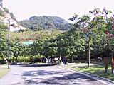 185-8537_IMG.JPG