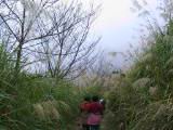 185-8554_IMG.JPG