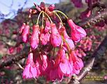 IMG_9362.JPG