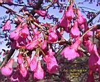 IMG_9363.JPG