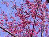 IMG_9365.JPG