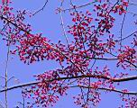 IMG_9366.JPG