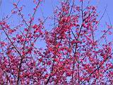 IMG_9372.JPG