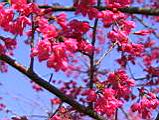 IMG_9373.JPG