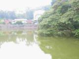 IMG_6847.JPG