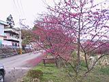 IMG_6992.JPG