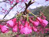 IMG_6993.JPG