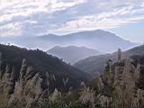 IMG_6995.JPG