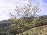 IMG_6998.JPG