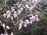 IMG_7001.JPG