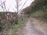 IMG_7003.JPG