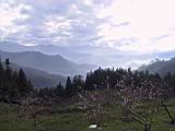 IMG_7004.JPG