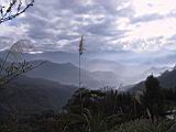 IMG_7005.JPG