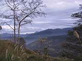 IMG_7006.JPG