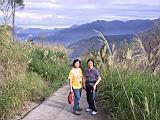 IMG_7007.JPG