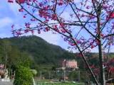 IMG_7044.JPG