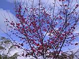 IMG_7056.JPG