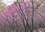 IMG_7060.JPG