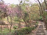 IMG_7062.JPG