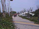 IMG_7081.JPG