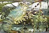 IMG_7114.JPG