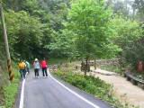 IMG_7146.JPG