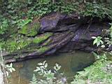 IMG_7149.JPG